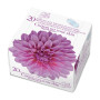 SALVASLIP NORMAL 100% ALGODON 20Uds. COT ONE