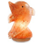 LAMPARA DE SAL DELFIN ASFAND SALTS