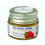 BÁLSAMO LABIAL DE ROSA MOSQUETA 5Gr. ESENTIAL AROMS
