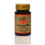 HARPAGOFITO 500Mg. 60 CÁPSULAS OBIRE