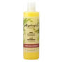 CHAMPÚ CABELLO SECO Y CASTIGADO 300Ml. ALGOLOGIE