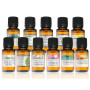 ACEITE ESENCIAL ARBOL TE BIO 10Ml. TERPENIC LABS