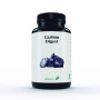 CARBON DIGEST 815 MG 60 PERLAS EBERS