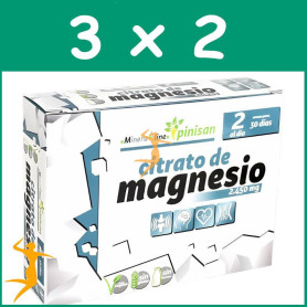 Pack 3x2 CITRATO DE MAGNESIO 60 CAPSULAS PINISAN