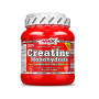 CREATINE 500 GR +250 GR FREE AMIX