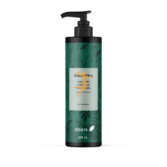 CHAMPÚ LIMPIEZA PROFUNDA 250 ML EBERS