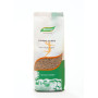 LENTEJA PARDINA 500Gr. BIOCOP