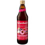 ZUMO PROTECTING CON ZINC 750ML RABENHORST