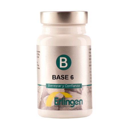 BASE 6 60 COMPRIMIDOS ERLINGEN