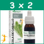 Pack 3x2 EXTRACTO DE COLA DE CABALLO 50ML SORIA NATURAL