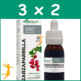 Pack 3x2 EXTRACTO DE ZARZAPARRILLA 50ML SORIA NATURAL