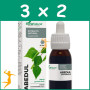 Pack 3x2 EXTRACTO DE ABEDUL 50ML SORIA NATURAL