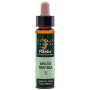 ELIXIR FLORAL 1 AGRIMONIA 10Ml. PLANTIS