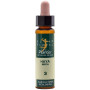 ELIXIR FLORAL 3 BEECH 10Ml. PLANTIS
