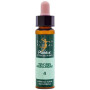 ELIXIR FLORAL 4 CENTAUREA 10Ml. PLANTIS