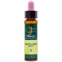 ELIXIR FLORAL 5 CERATOSTIGMA 10Ml. PLANTIS