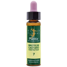 ELIXIR FLORAL 7 CHESTNUT BUD 10Ml. PLANTIS