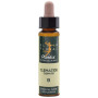 ELIXIR FLORAL 9 CLEMATIS 10Ml. PLANTIS
