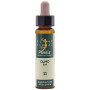 ELIXIR FLORAL 11 ELM 10Ml. PLANTIS