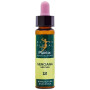 ELIXIR FLORAL 12 GENTIAN 10Ml. PLANTIS