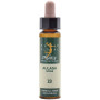 ELIXIR FLORAL 13 GORSE 10Ml. PLANTIS