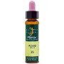 ELIXIR FLORAL 15 HOLLY 10Ml. PLANTIS