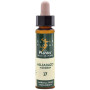 ELIXIR FLORAL 17 HORNBEAM 10Ml. PLANTIS