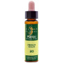 ELIXIR FLORAL 20 MIMULUS 10Ml. PLANTIS