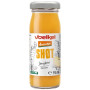 SHOT DE JENGIBRE DEMETER BIO 95ML VOELKEL