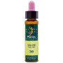 ELIXIR FLORAL 38 SAUCE 10Ml. PLANTIS