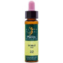 ELIXIR FLORAL 22 ROBLE 10ML PLANTIS
