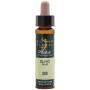 ELIXIR FLORAL 23 OLIVO 10ML PLANTIS