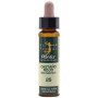 ELIXIR FLORAL 25 CASTAÑO ROJO 10ML PLANTIS