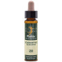 ELIXIR FLORAL 28 SCLERANTHUS 10Ml. PLANTIS