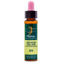 ELIXIR FLORAL 29 LECHE DE GALLINA 10ML PLANTIS