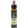 ELIXIR FLORAL 31 VERBENA 10Ml. PLANTIS