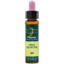 ELIXIR FLORAL 37 ROSA SILVESTRE 10ML PLANTIS