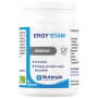 ERGYSTAM 60 CÁPSULAS NUTERGIA