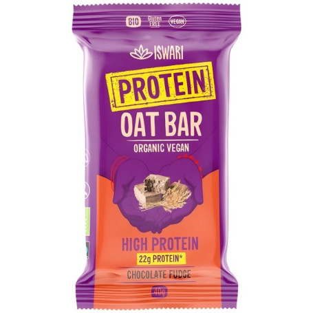 BARRITA PROTEIN CHOCOLATE FUDGE 40G ISWARI