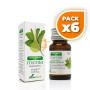 Pack 6x ESENCIA DE MENTA 15cc SORIA NATURAL