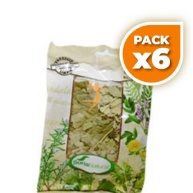 Pack 6x EUCALIPTO HOJAS BOLSA GRANDE SORIA NATURAL