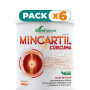 Pack 6x MINCARTIL REFORZADO POLVO 300GR SORIA NATURAL