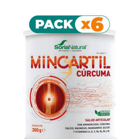 Pack 6x MINCARTIL REFORZADO POLVO 300GR SORIA NATURAL