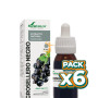 Pack 6x EXTRACTO DE GROSELLERO NEGRO 50ML SORIA NATURAL