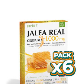 Pack 6x JALEA REAL 1.000Mg. 20 AMPOLLAS INTERSA