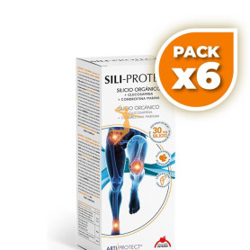 Pack 6x SILI-PROTECT 500Ml. INTERSA