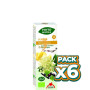 Pack 6x PHYTO-BIOPOLE 14 MIX-FEB BIO 50Ml. INTERSA