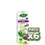 Pack 6x PHYTO-BIOPOLE N9 MIX-PARA-ST BIO 50Ml. INTERSA