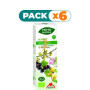 Pack 6x PHYTO-BIOPOLE 7 MIX-PEC BIO 50Ml. INTERSA