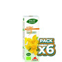 Pack 6x PHYTO-BIOPOLE HIPÉRICO BIO 50Ml. INTERSA